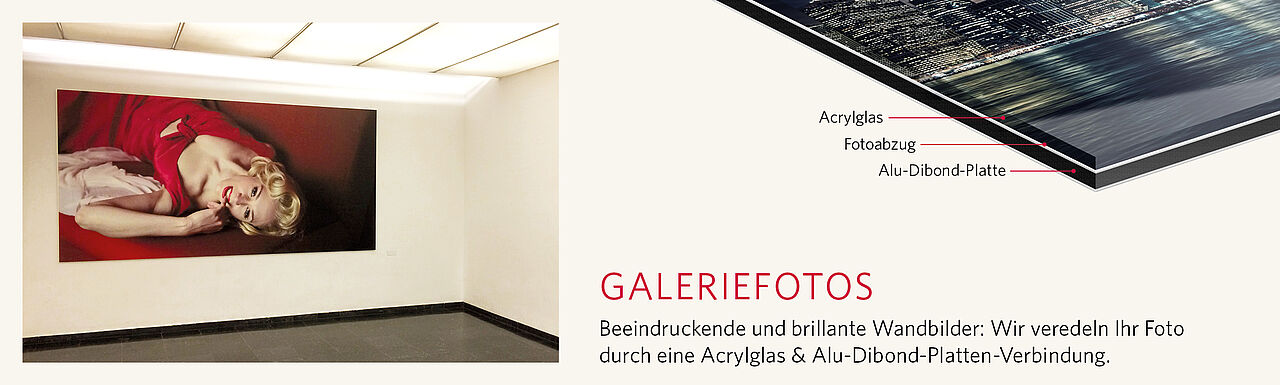 Galeriefotos