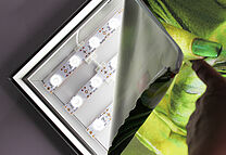 Star LED Box details Star LED Box details