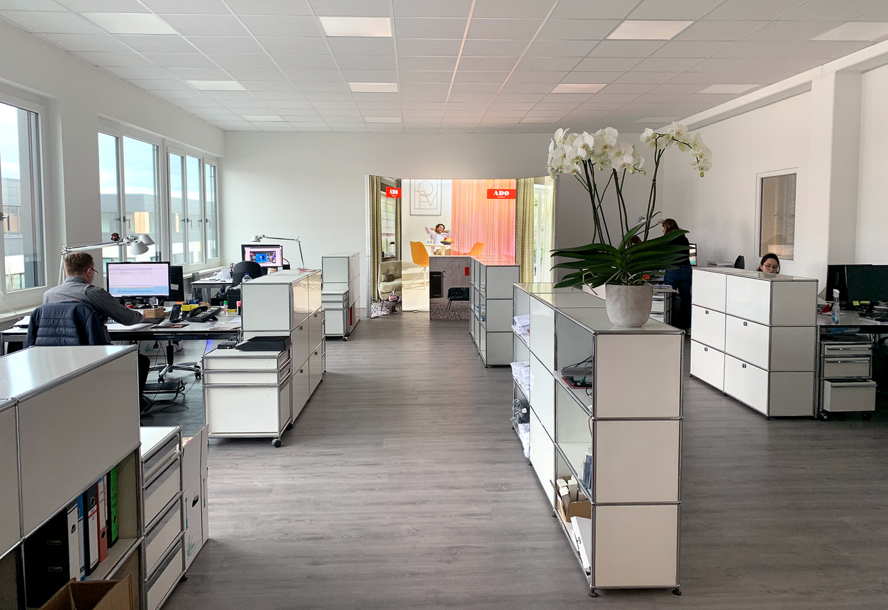 MARTINCOLOR moving 11